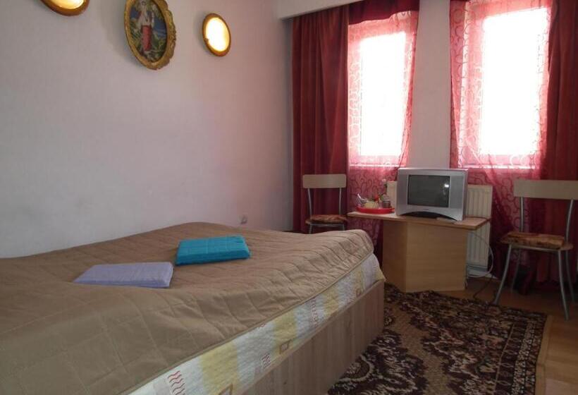 Bed and Breakfast Pensiunea Ando