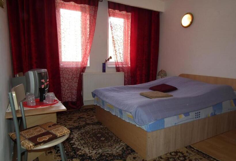 Bed and Breakfast Pensiunea Ando