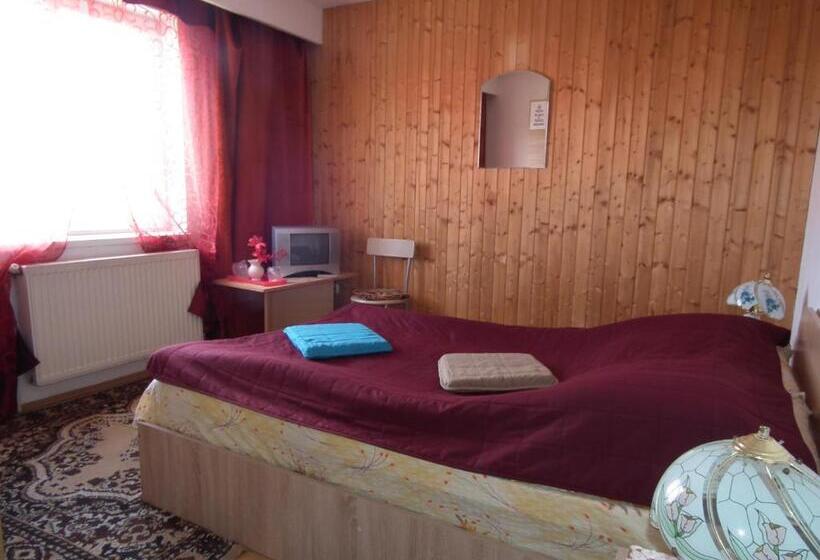 Bed and Breakfast Pensiunea Ando