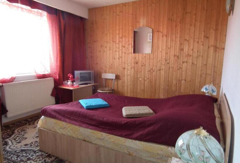 Bed and Breakfast Pensiunea Ando