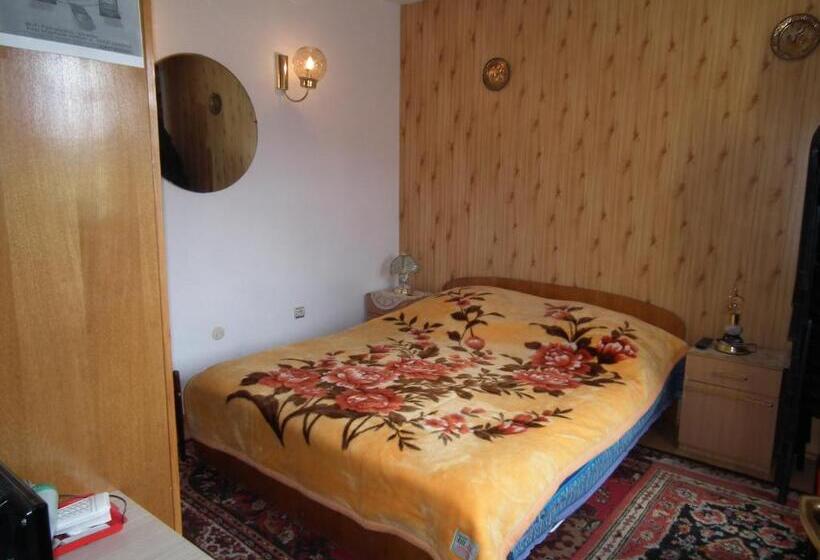 Bed and Breakfast Pensiunea Ando