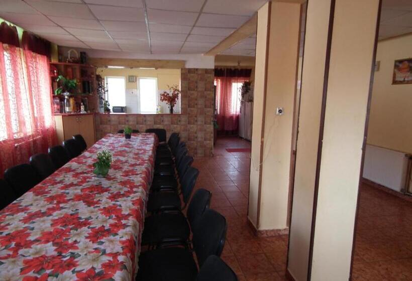 Bed and Breakfast Pensiunea Ando