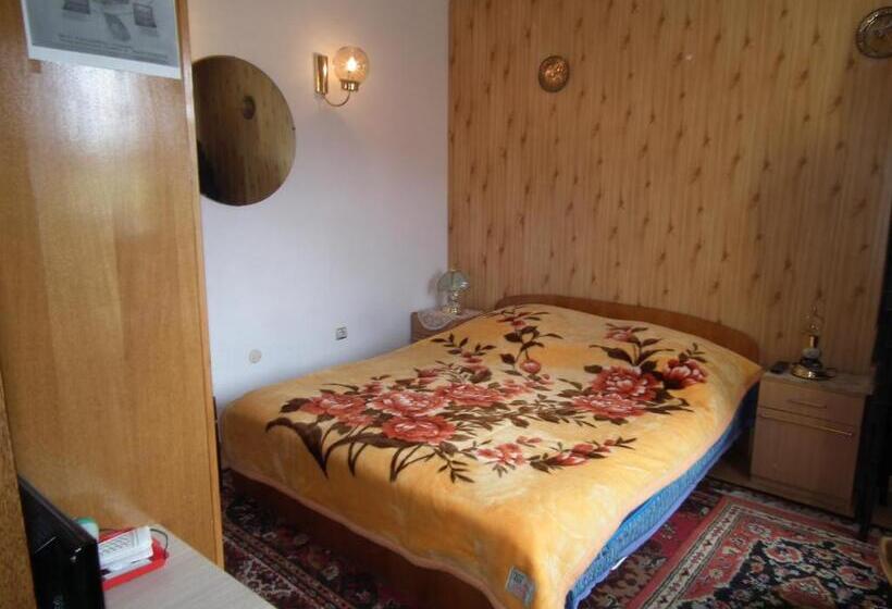 Bed and Breakfast Pensiunea Ando