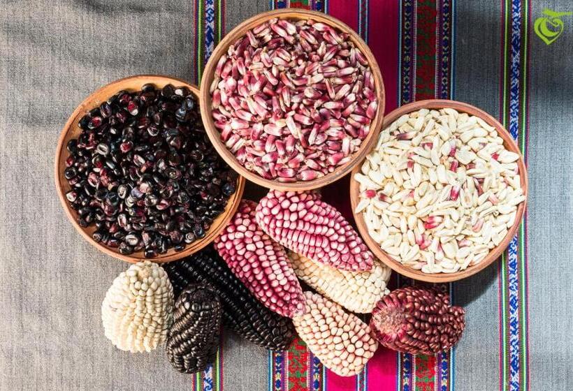 هتل Sonqo Killa Del Colca