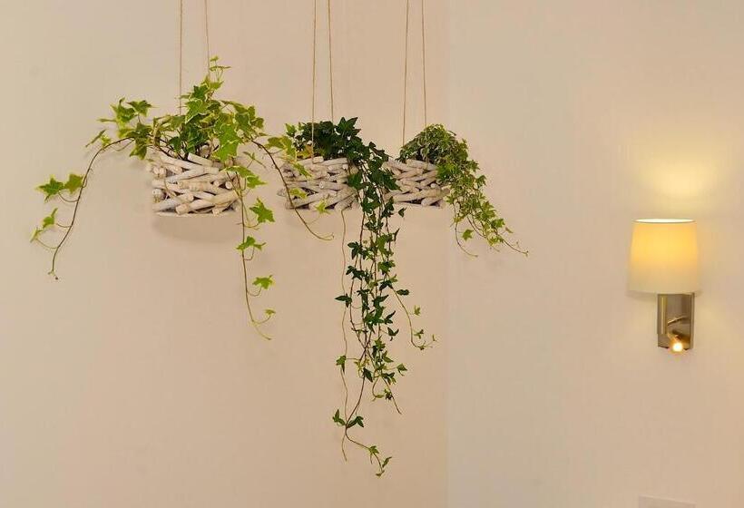 פנסיון Arce Boutique