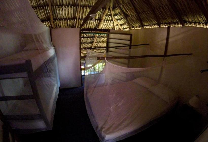 پانسیون Casa Zinpar