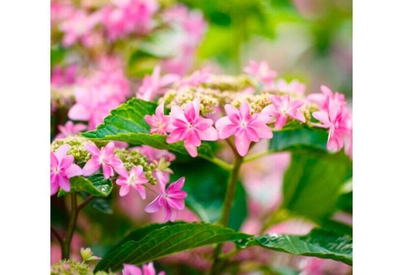 ホテル Business Inn Umesaki