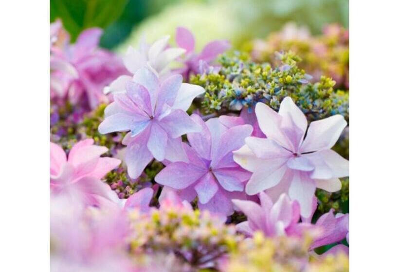 ホテル Business Inn Umesaki