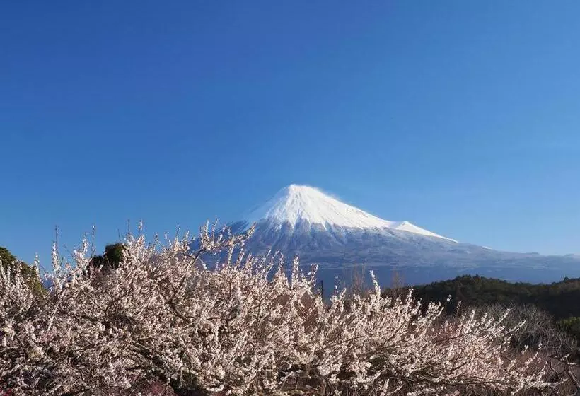 ホテル Temple Lodging Shukubo Kakurinbo