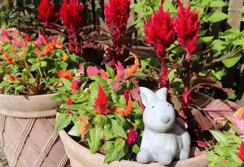 ホテル Temple Lodging Shukubo Kakurinbo