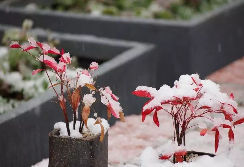 Hotelli Ubusuna No Sato Tomimoto