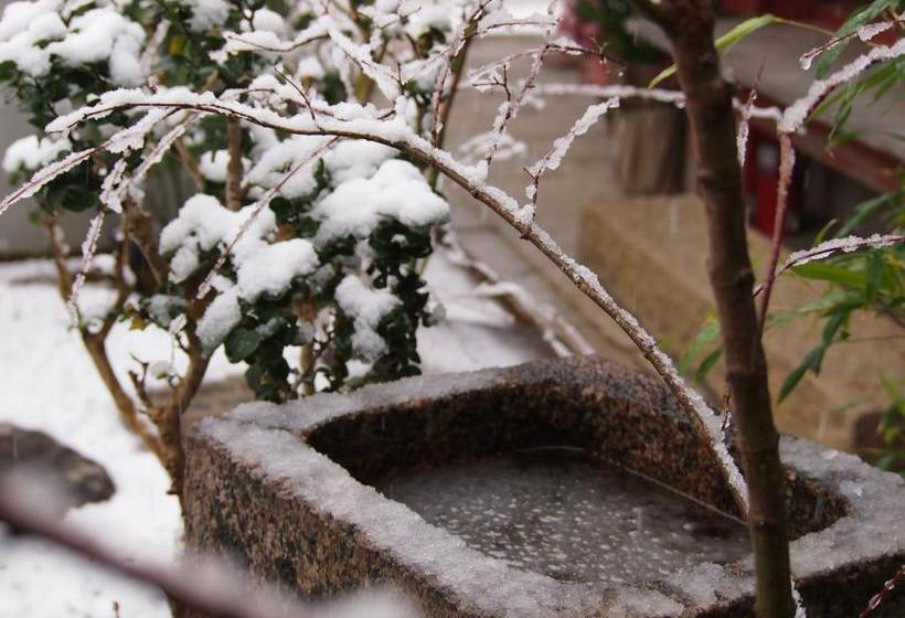 בית מלון כפרי Ubusuna No Sato Tomimoto