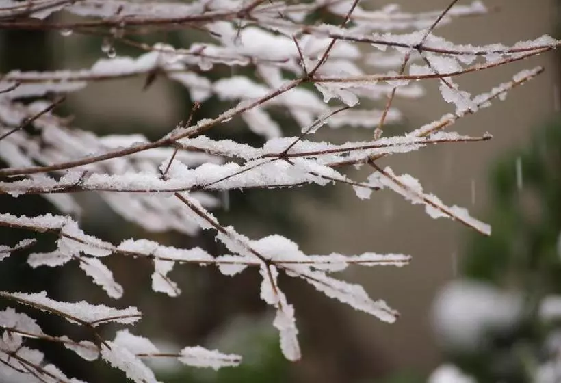 Hotelli Ubusuna No Sato Tomimoto