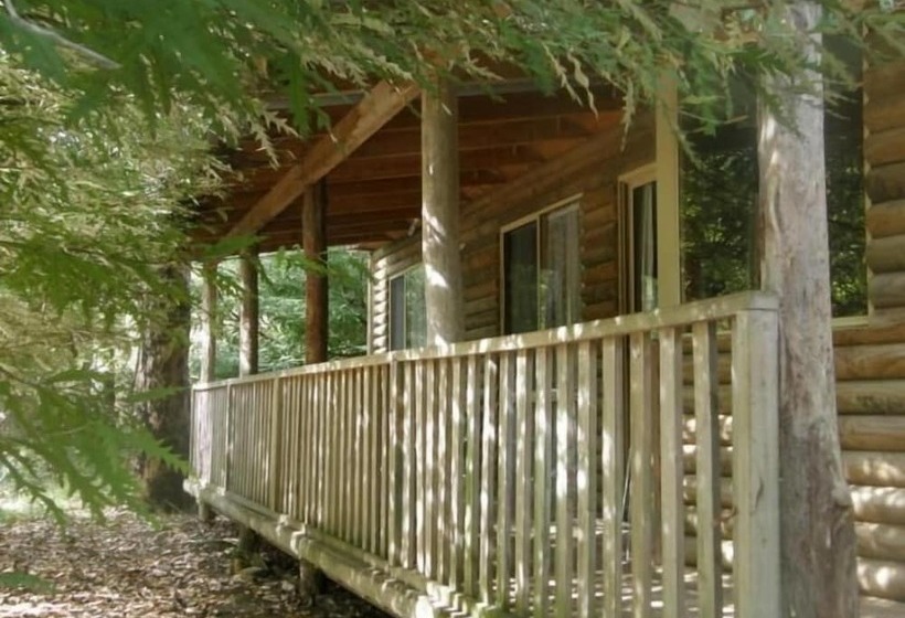 فندق Beedelup House Cottages