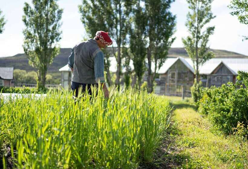 هتل روستایی Las Torres Patagonia