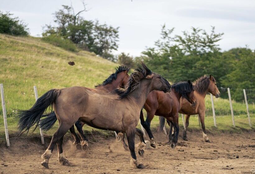 هتل روستایی Las Torres Patagonia