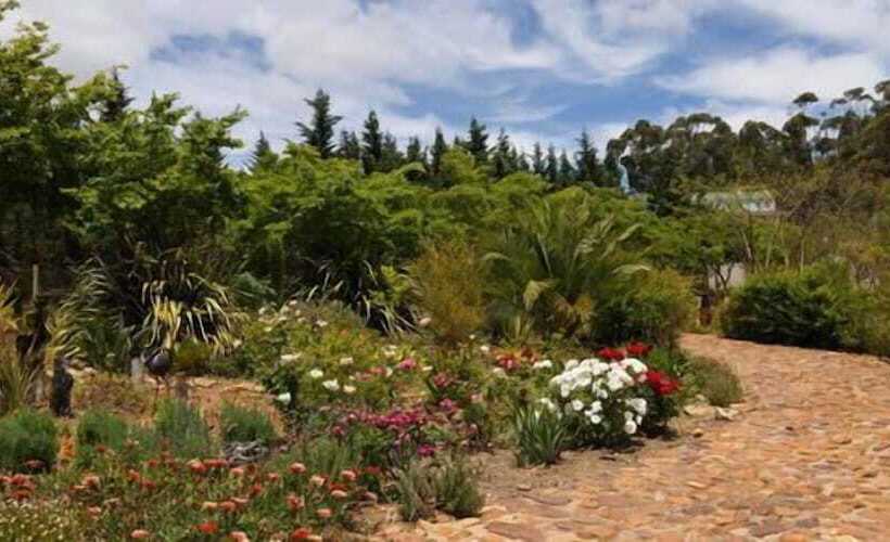 Bed and Breakfast Peace Valley Guesthouse