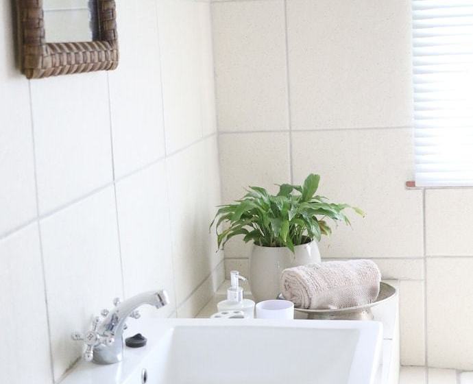 Fleur De Lys Guest Farm