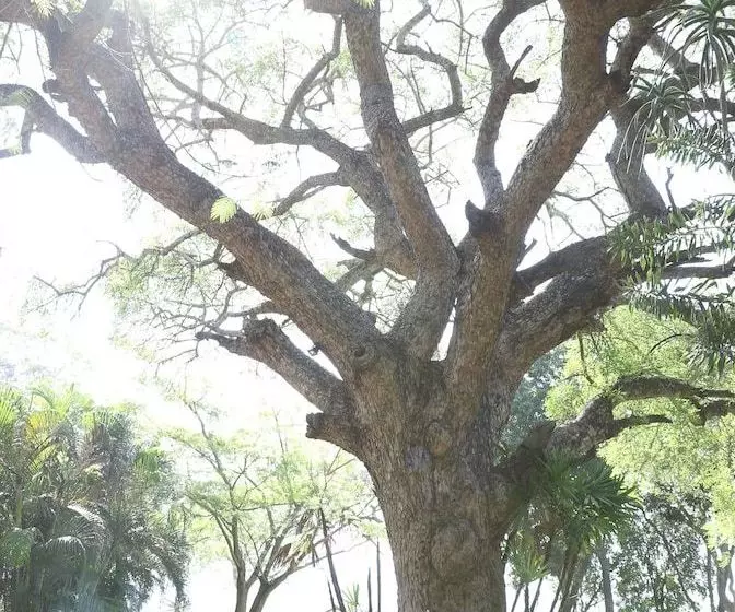 Fleur De Lys Guest Farm