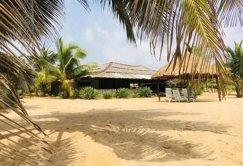 ホテル The Akwidaa Inn