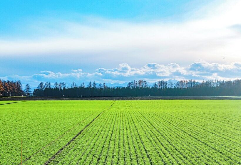 ホテル Glamping Resort Feriendorf