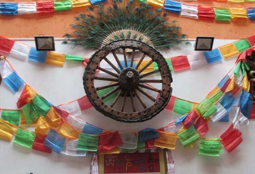 Nirvana Hotel   Hostel