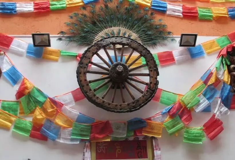 Nirvana Hotel   Hostel