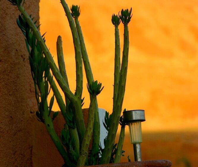 بنسيون Kasbah Isfoula And Spa