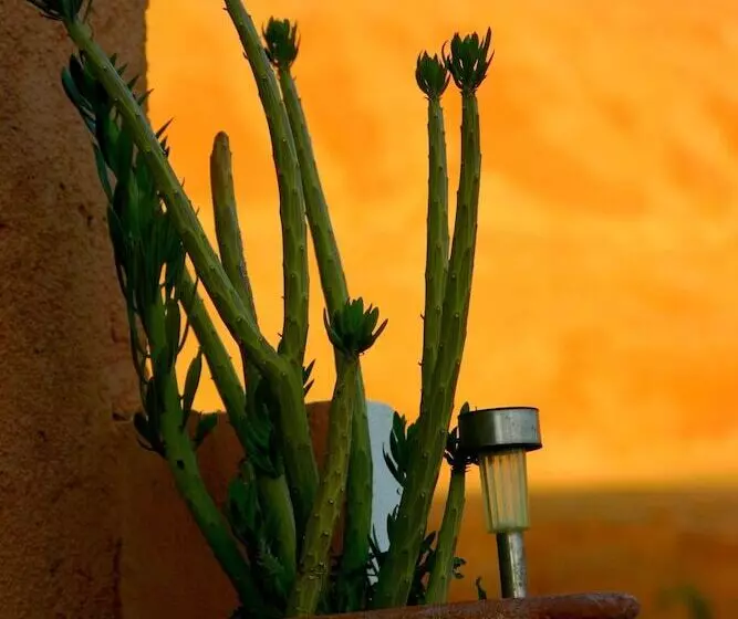 Majatalo Kasbah Isfoula And Spa