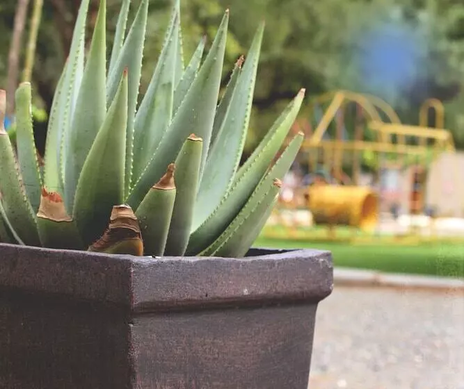 Majatalo Travalia Guest Farm