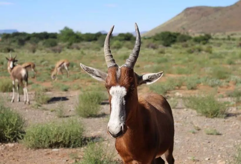 Majatalo Travalia Guest Farm