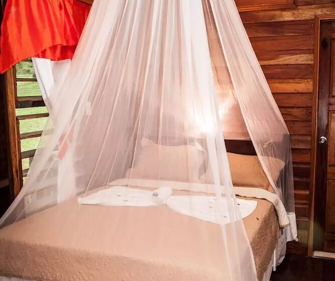 Hill Bank Field Station   Hostel