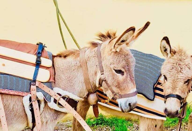 客栈 Scala San Giorgio