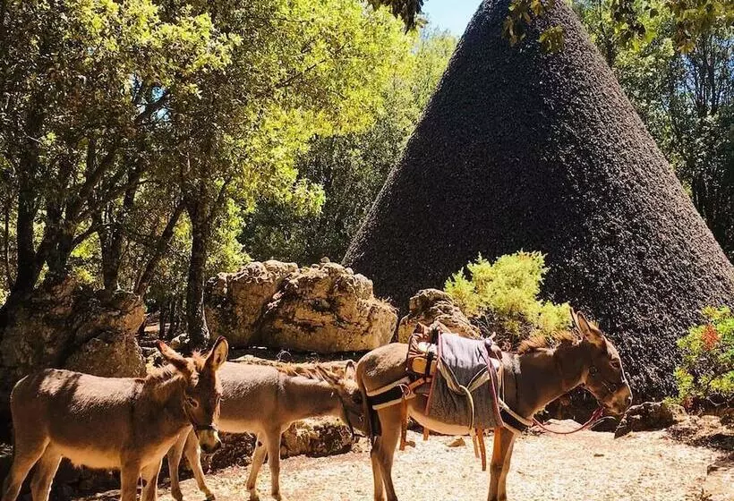 簡易ホテル Scala San Giorgio