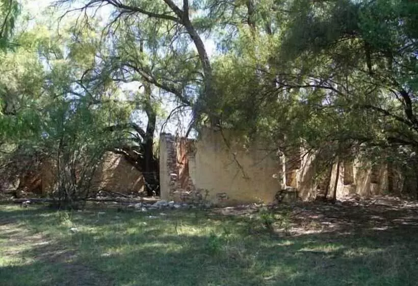 Hotelli Almar Exclusive Game Ranch