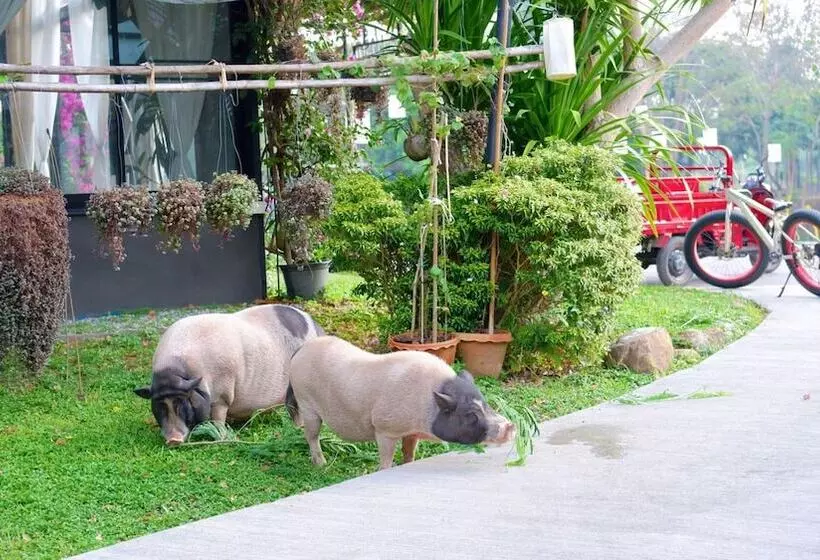 Hotelli Natural Park Resort De Wang Thong