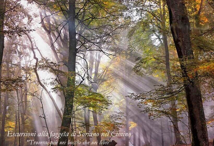 Hotel wiejski Il Maremmano