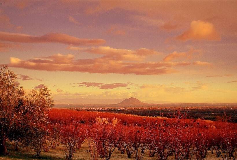 田舎風ホテル Il Maremmano