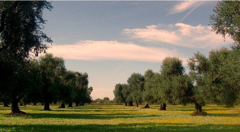 Hotel wiejski Il Maremmano