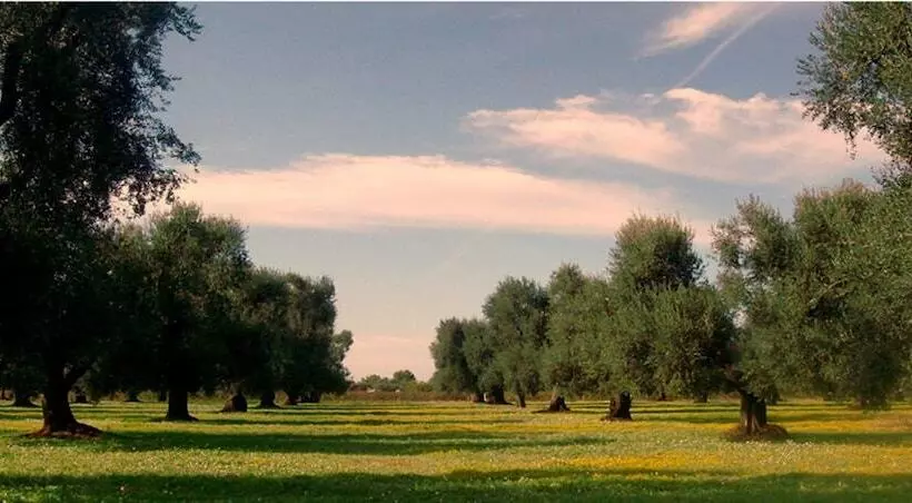 Maaseutuhotelli Il Maremmano