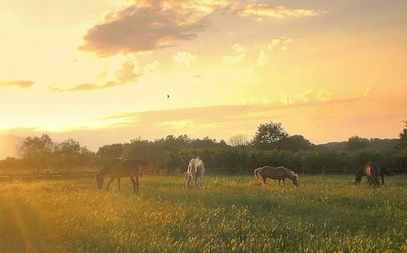 Maaseutuhotelli Il Maremmano