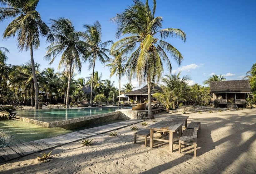 فندق Seed Resort