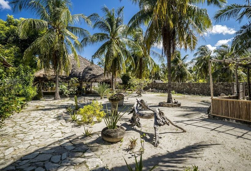 فندق Seed Resort