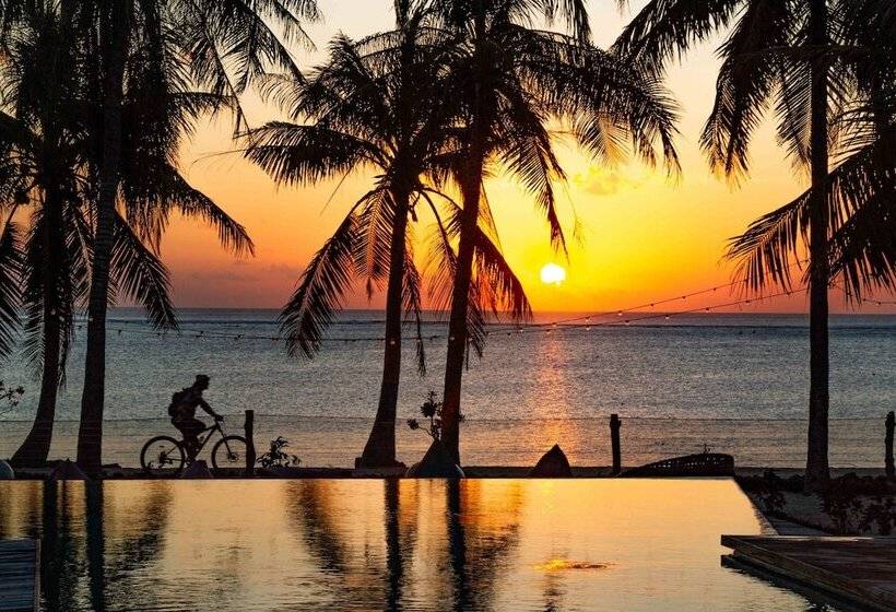 فندق Seed Resort