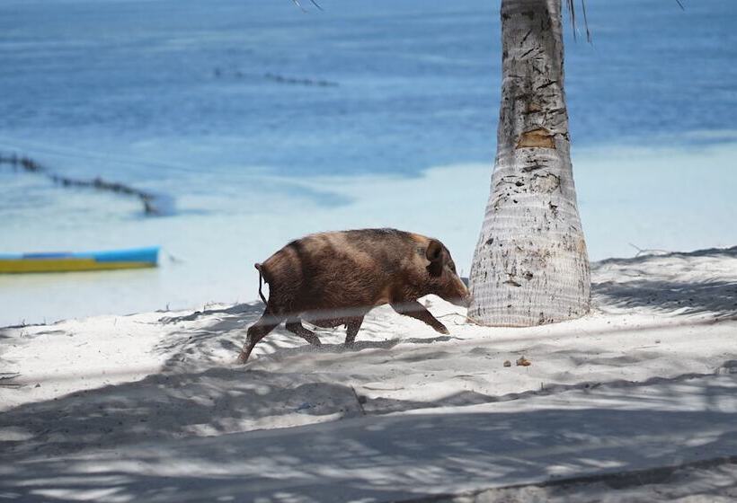 فندق Seed Resort