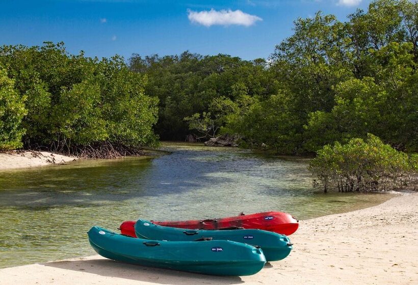 فندق Seed Resort