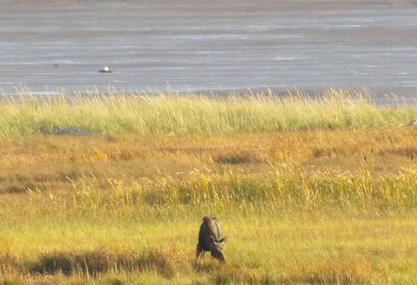 汽车旅馆 Shepody Bay Inn