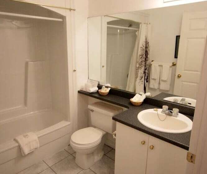 汽车旅馆 Shepody Bay Inn