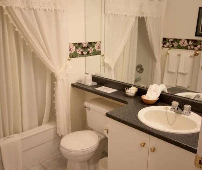 汽车旅馆 Shepody Bay Inn