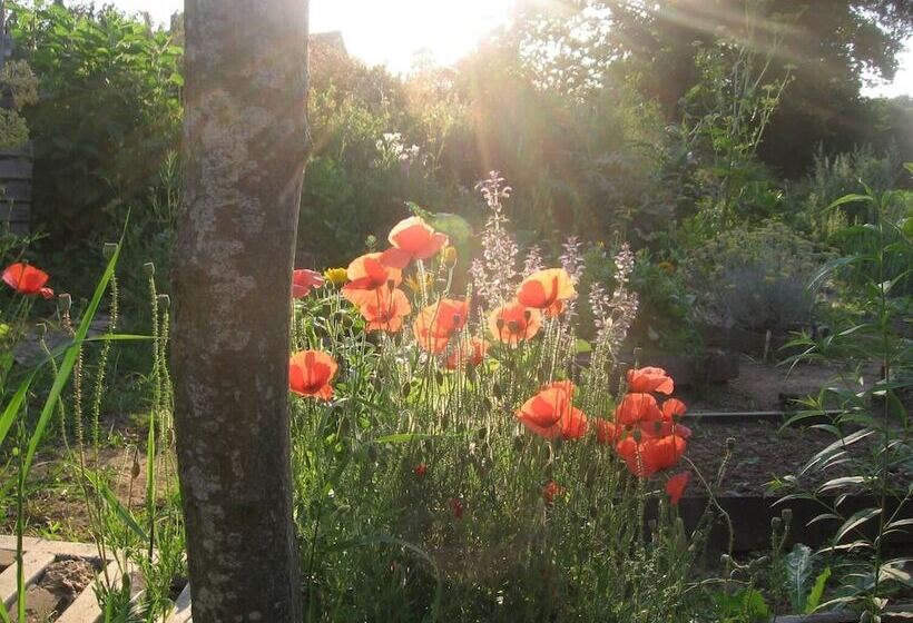 Пансион Chambres Aux Bonnes Herbes